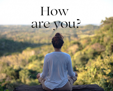 Green Minimalist Motivation Meditation Quote Instagram Post